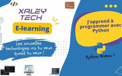Programmation Python – Niveau 1